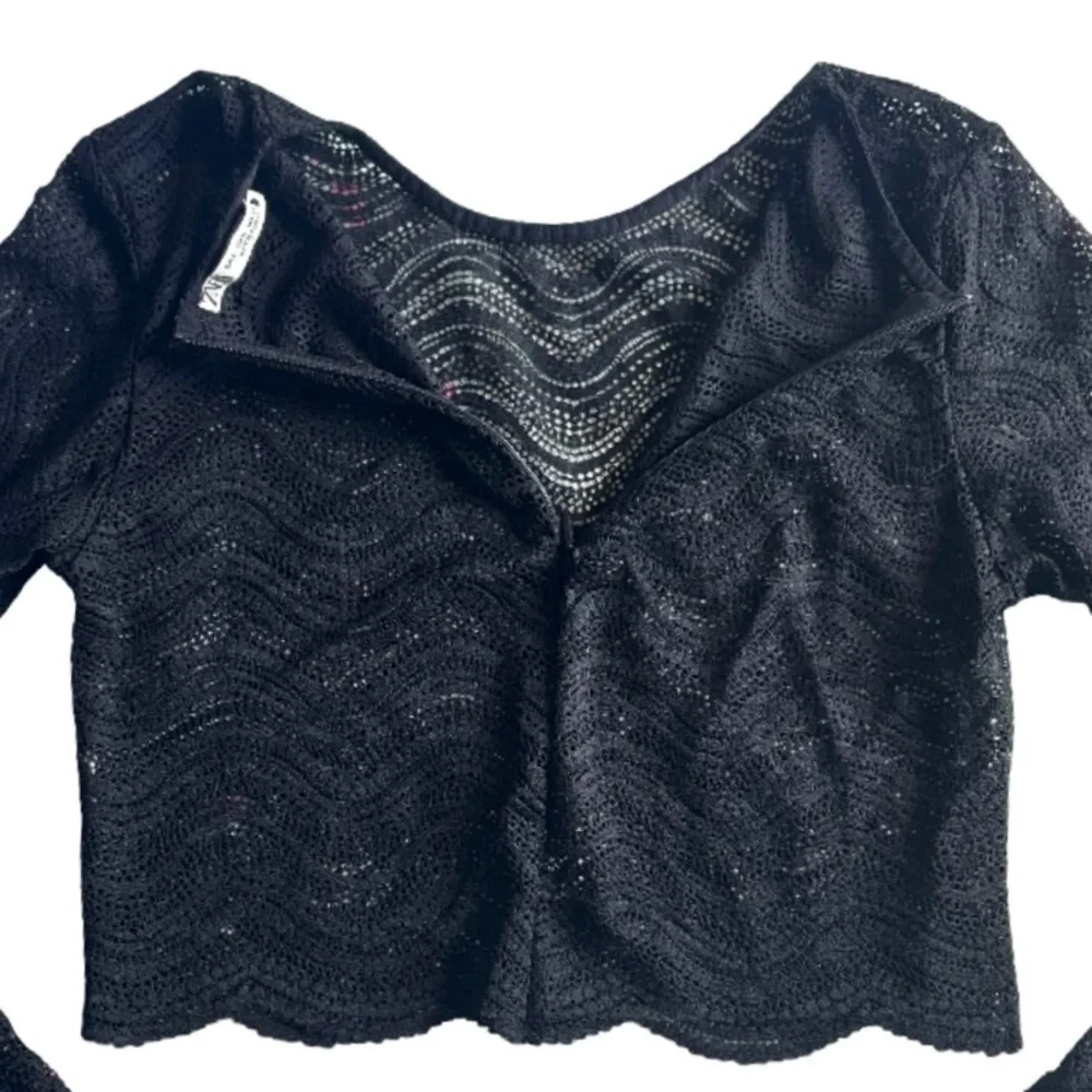 Zara Sheer Lace Long Sleeve Crop Top NEW